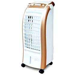 DYCIN Condizionatore Portatile Silenzioso Famiglia Personale Aria Condizionata 颜色 Condizionatore Portatile 75 * 30,5CM características