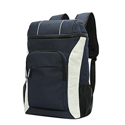 MMLLZEL Oxford Cooler Borse Pranzo Punte Pellnic Box Isolati Cool Backpack Pack Ice Pack Fresh Carrier Borse a tracolla termica (Color : B, Size : 31.