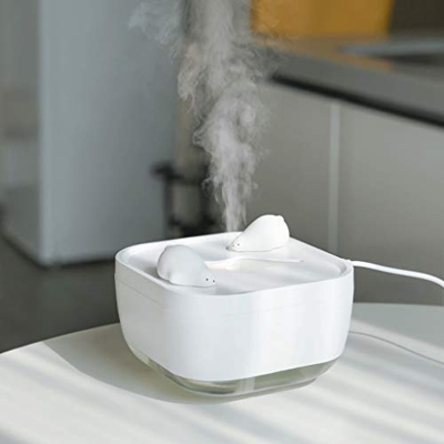 TYPIS piccolo umidificatore per le piante Umidificatore Piccolo Ufficio Desktop Usb Comodino Spray Portatile Mini Purificatore D'aria Famiglia Silenzi