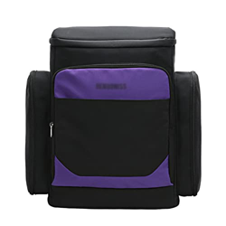 MMLLZEL Frigorifero in Auto Cooler Zaino Viaggio Sacchetto termico Densità di perdita Soft Borsa for alimenti isolati for il picnic del vino (Color :  precio