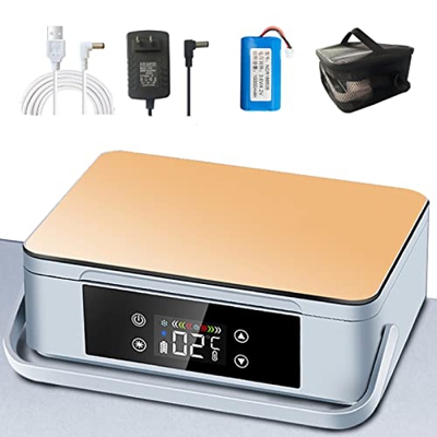 Borsa Termica per Insulina, Porta Medicine da Viaggio, Mini Frigo, Alta Conservazione: 4-6 Pezzi di Penne per Insulina o 6 Bastoncini di Interferone o