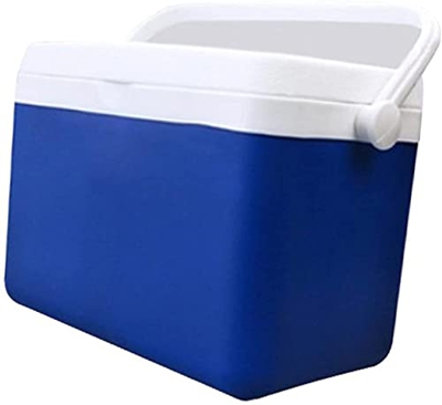 Outdoor Cooler Portable Car Insulation Box Ice Chest Organizer Food Milk Preservation Box for Home BBQ Fishing Camping Fishing (Color : 8L) (3l)