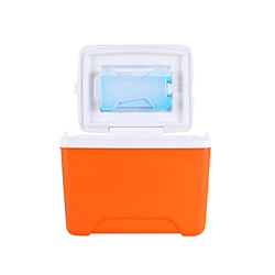 Mini Cooler Box Portable Ice Camping Coolers for Trip Fishing Picnic Sports Flight Drink Water Cooler 6L/ 5.5 Quart (Orange) en oferta