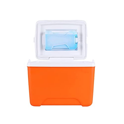 Mini Cooler Box Portable Ice Camping Coolers for Trip Fishing Picnic Sports Flight Drink Water Cooler 6L/ 5.5 Quart (Orange)
