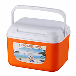 Cooler Box Outdoor Camping Portable Food Storage Box Car Fishing Ice Chest for Travel Beach Hiking Picnic Heat Preservation/Cold 5L (Color : Blue) (Or características