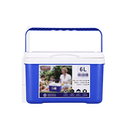 Cooler Mini Ice Chest with Handle Keep Beverage Drink Ice or Food Fresh Ideal for Beach Camping Fishing Outdoor 6L/ 5.5 Quart (Basic)