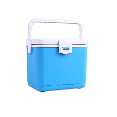 Cooler Portable Mini Ice Chest Snacks And Drinks Cooler Box for Camping Fishing Tailgating BBQ Outdoor Activities 5L/ 4.5 Quart (Size : Orange-with Th