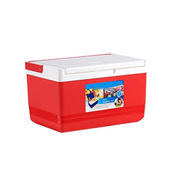 Multi-Functional Cooler Outdoor Car Insulation Ice Chest Home Organizer Medicine Preservation for Travel Camping Fishing Beach 5L (Red 5L) características