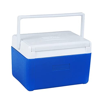 Cooler Portable Outdoor Insulated Ice Chest with Carrying Handle Mini Storage Box for Camping Beach Picnic or Fishing 5L/ 4.5 Quart