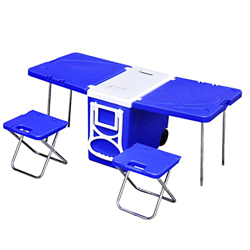 Outdoor Picnic Multi-Function Folding Incubator Portable 28L Car Outdoor Stall Barbecue Picnic Table Refrigerator Box Fishing Red (Blue) precio