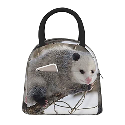 Borsa termica per il pranzo da donna, ampia aperta, isolata, impermeabile, impermeabile, a prova di perdite, per uomini, ragazze, bambini, attività al