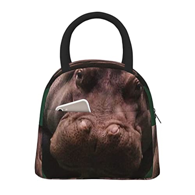 Borsa termica per il pranzo da donna, ampia aperta, isolata, impermeabile, impermeabile, a prova di perdite, per uomini, ragazze, bambini, picnic, lav