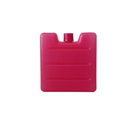 vreplrse Scatola del ghiaccio riutilizzabile in plastica Portatile per la conservazione della frutta Carne Congelatore a tenuta stagna Escursionismo P en oferta