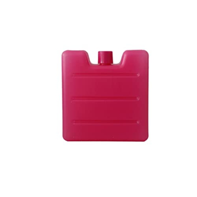 vreplrse Scatola del ghiaccio riutilizzabile in plastica Portatile per la conservazione della frutta Carne Congelatore a tenuta stagna Escursionismo P