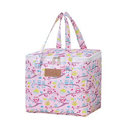 Borsa termica termica per picnic, campeggio, pranzo, borsa per il pranzo, per bambini, taglia unica características