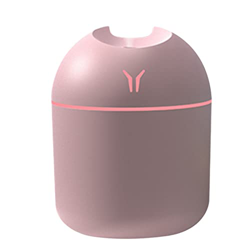 Taloit Mini umidificatore portatile a forma di simpatico umidificatore super silenzioso per camera da letto umidificatore super silenzioso mini umidif en oferta