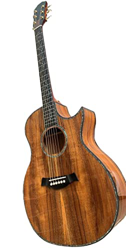 GaYouny Chitarra acustica 41 polliciChitarra classica Chitarra pop folk kit chitarra acustica Beatirce en oferta