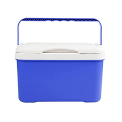 Cool Box Performance Cooler Mini Fridge Portable Fridge 6/12Litres Capacity Picnic Beach Camping (6 Long) precio