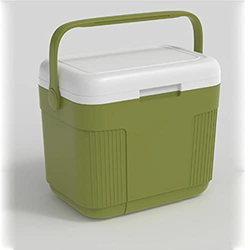 Portatile for Esterni Ghiacciaia Isolata Scatola Termica Facile da Viaggio Manico for il Trasporto, Mini Borsa Fredda for Campeggio, Pranzo, Spiaggia, en oferta