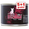 5 + 1 gratis! 6 x 200/190 g catz finefood Purrrr - 6 x 200 g Canguro precio