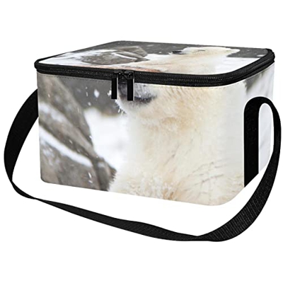 Borsa da pranzo isolata Donne Box per le donne uomini, Animal Polar Bear Winter Snow