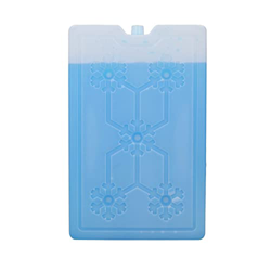 VGEBY Scatola del Ghiaccio, Congelatore Portatile per Esterni Picnic Campeggio Viaggio Borsa Frigo per Frutta Borsa del Ghiaccio Riutilizzabile (1000M precio