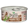 Beyond Grainfree Mousse 12 x 85 g - Salmone
