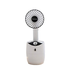 LEUYA Handheld Fan,USB Fan,Hand Fan,Shaking Head Fan Office Desktop Electric Fan Small Portable Mute/Black, Blue, Pink (White),Fan (Color : Rot) características