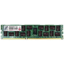 Memoria Dimm 16 GB (1 x 16GB) DDR3 1333 MHz CL9 ECC precio