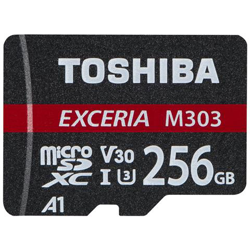 Exceria M303 256GB 256GB MicroSDXC UHS-I memoria flash precio