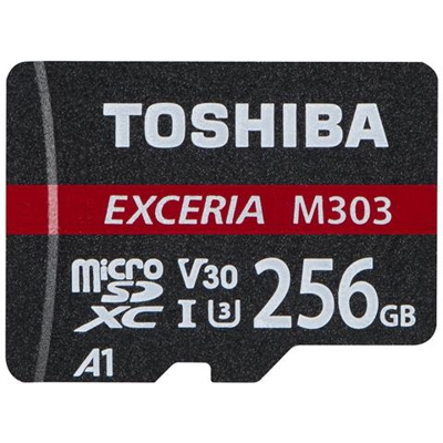 Exceria M303 256GB 256GB MicroSDXC UHS-I memoria flash