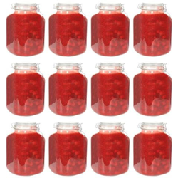 Barattoli Per Marmellata In Vetro Con Chiusura Ermetica 12pz 5l precio