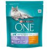 Purina ONE Coat & Hairball - 800 g