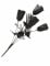 Bouquet di rose nere - Halloween en oferta