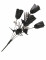 Bouquet di rose nere - Halloween