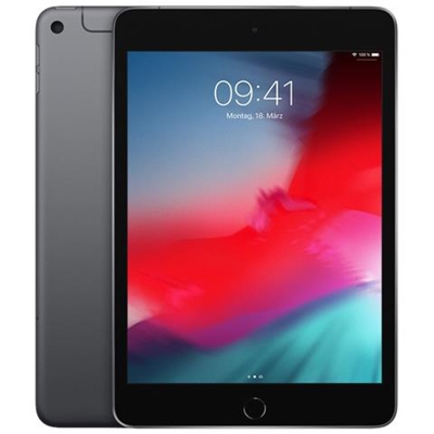 iPad Mini 5 256 GB 7.9'' Wi-Fi - 4G Grigio Siderale