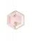 6 Piatti in cartone esagonali rosa tropicale precio