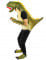 Costume da dinosauro verde per adulto precio