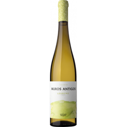 MUROS ANTIGOS LOUREIRO 2019 - ANSELMO MENDES características