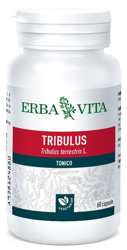 TRIBULUS TERRESTRIS 60 CAPSULE 500 MG precio