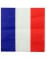 20 Tovaglioli in carta Francia características