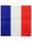 20 Tovaglioli in carta Francia
