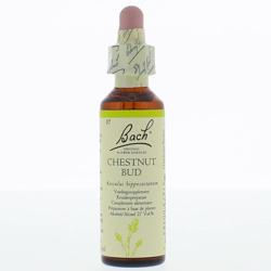 Bach Blossom Chesnut Bud en oferta