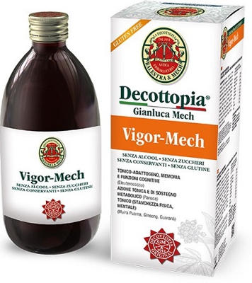 VIGOR MECH 500 ML