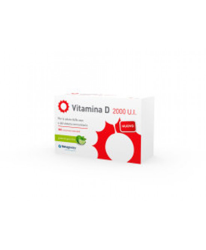 Vitamina D 2000 U.I. Integratore Alimentare 168 Compresse Masticabili en oferta