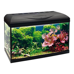 Acquario Wave Basic 60 Nero Led 65 Litri 62x32x42h Amtra precio