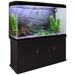 Acquario 300 Litri Con Armadietto Nero E Kit Con Piante E Ghiaia Naturale 143cm X 120cm X 39cm características