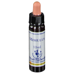 Healing Herbs Mimulus en oferta