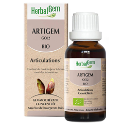 Herbalgem Artigem Complex precio
