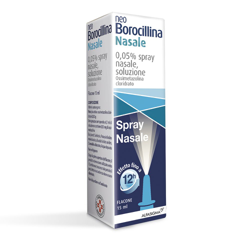 NeoBorocillina Spray Nasale precio